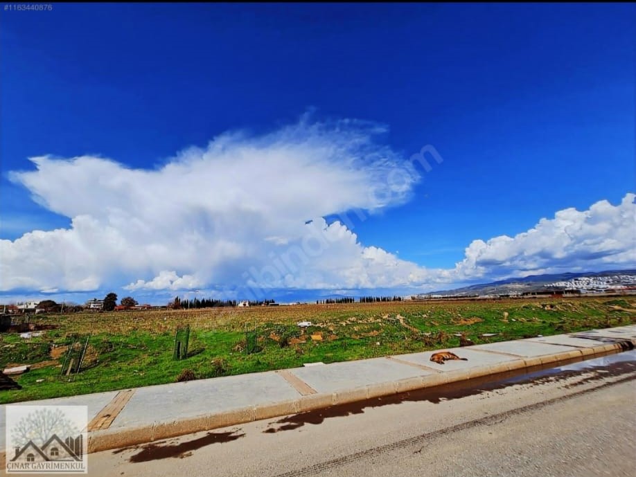 Çınar Gayrimenkul